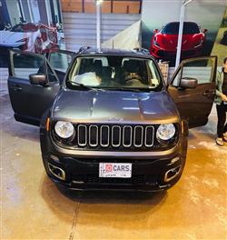 جيب رينيجيد